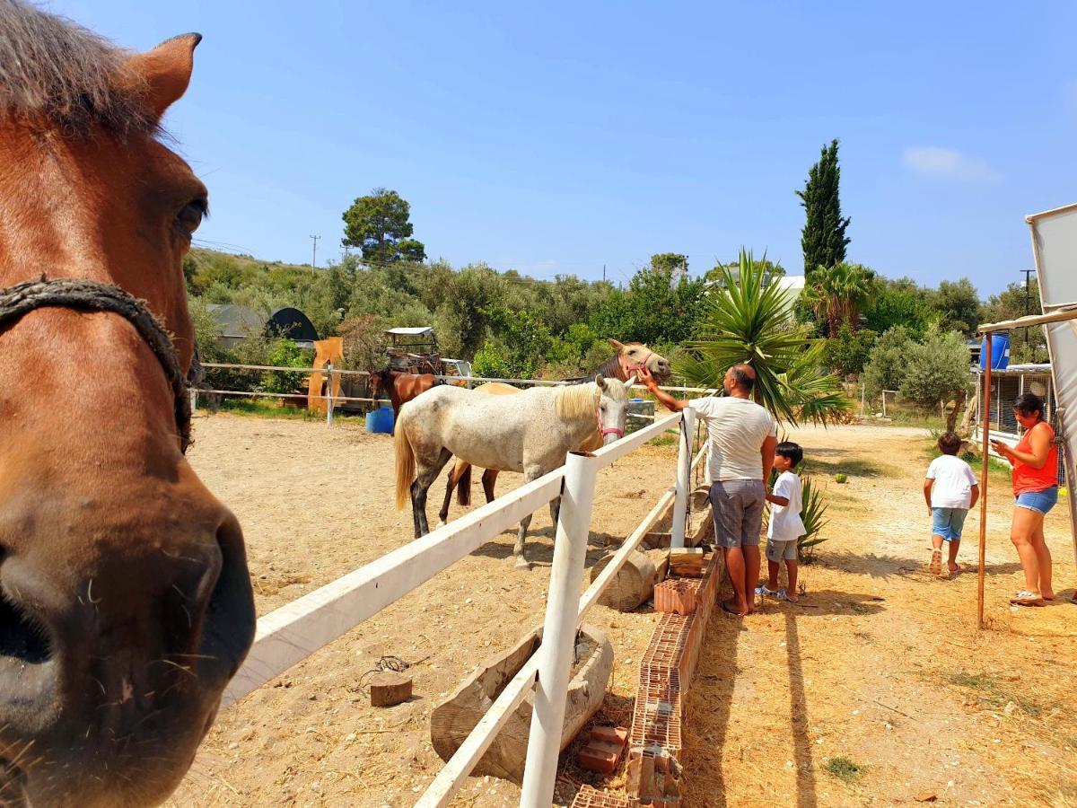 Patara Caretta Hotel מראה חיצוני תמונה