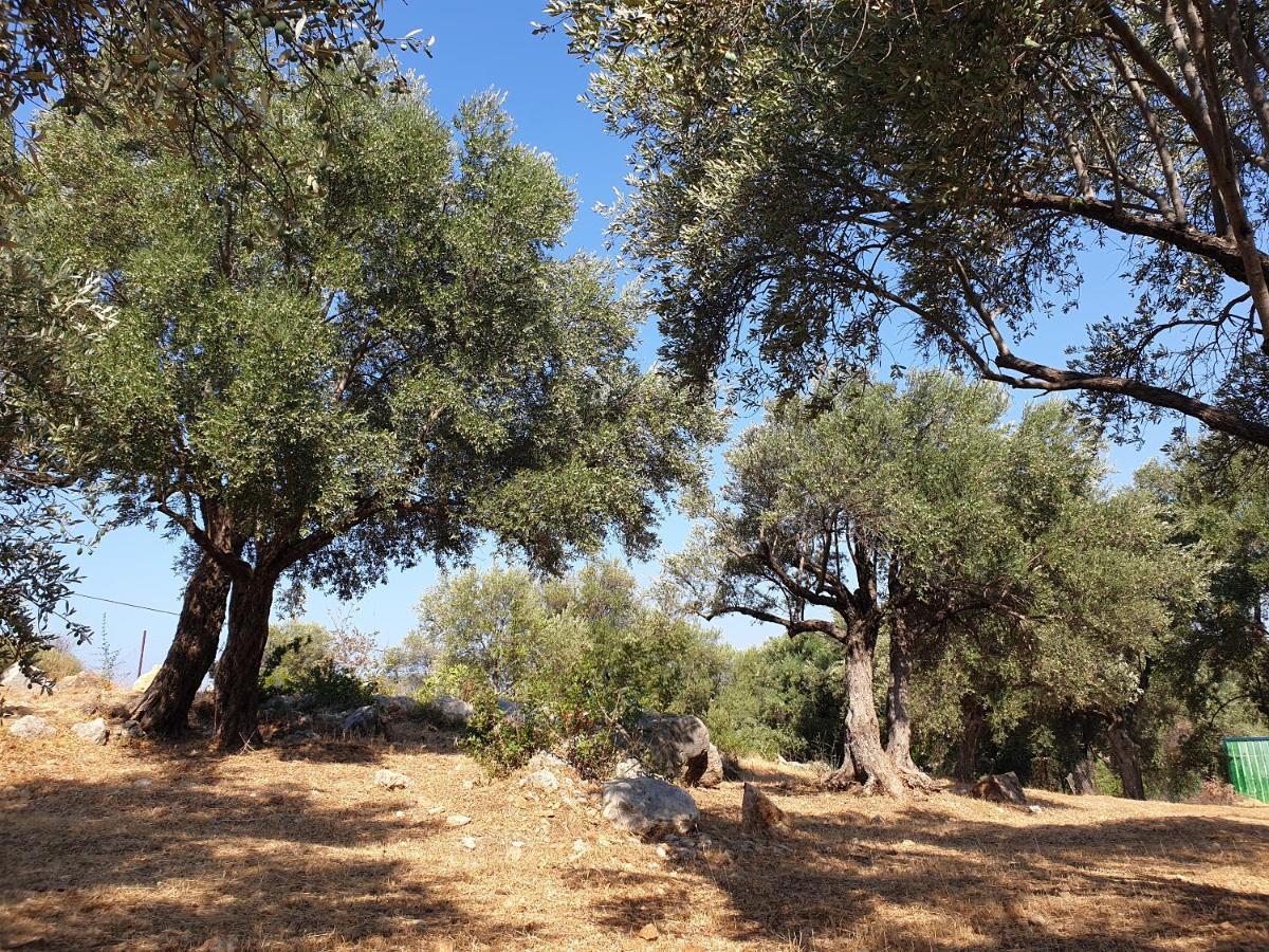 Patara Caretta Hotel מראה חיצוני תמונה