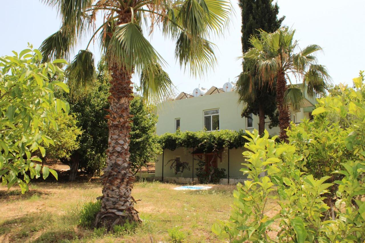 Patara Caretta Hotel מראה חיצוני תמונה