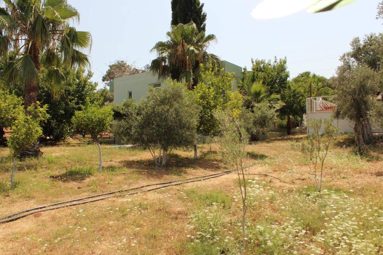 Patara Caretta Hotel מראה חיצוני תמונה
