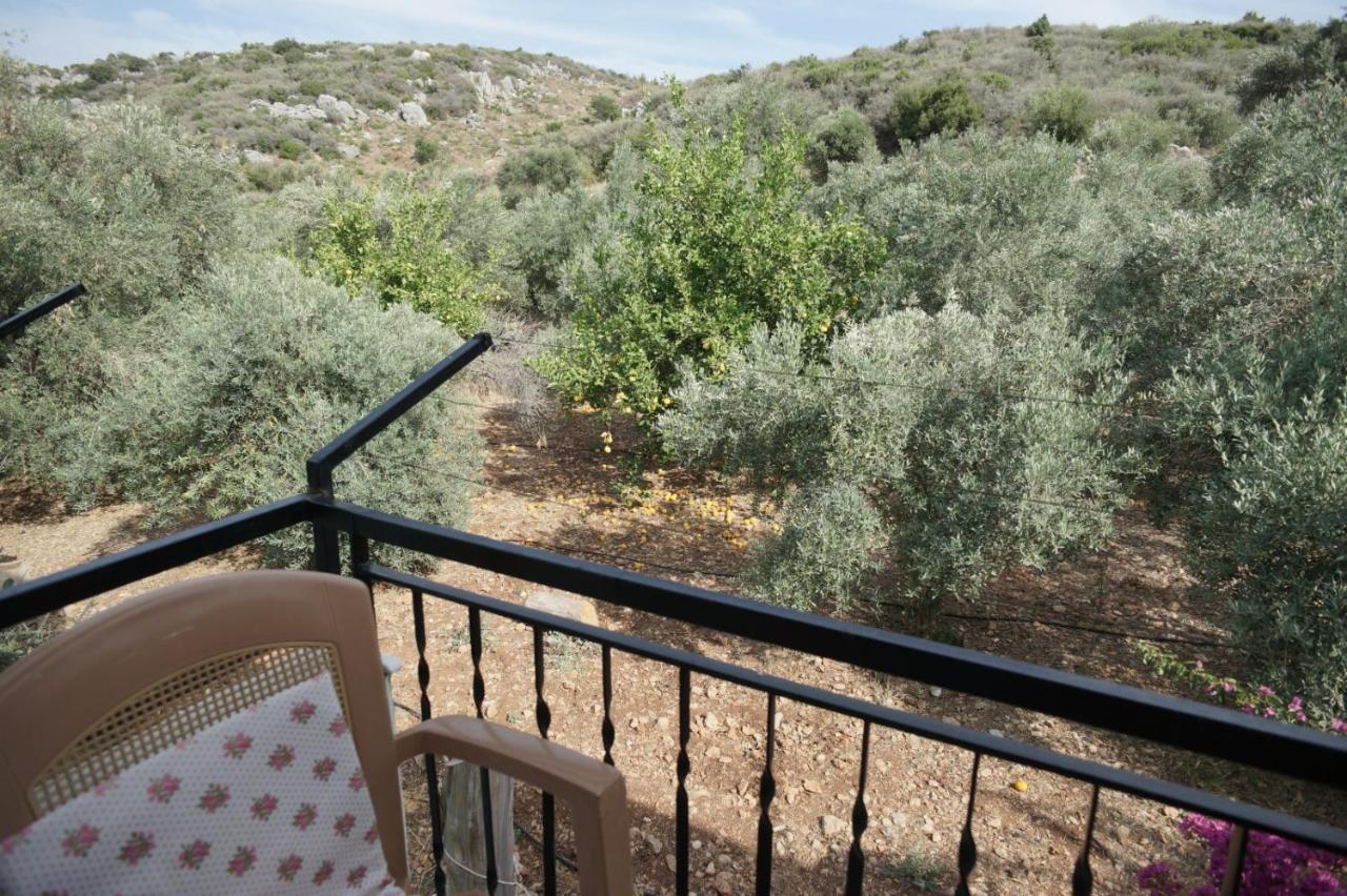 Patara Caretta Hotel מראה חיצוני תמונה